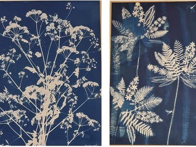 Françoise Barugola, l'art du cyanotype