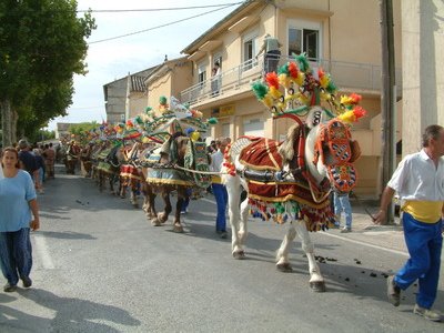 Fête de la Saint Roch des Paluds
