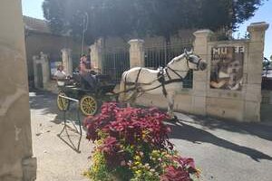 Les Calèches de Mado