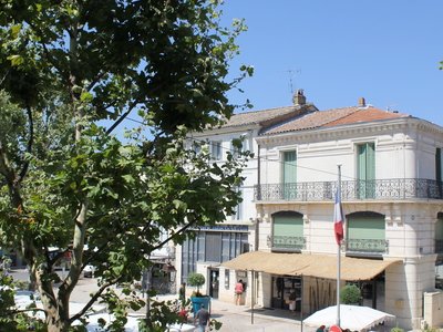 Marché de Châteaurenard