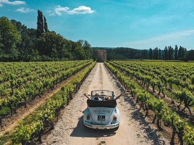 Yes Provence - The Vintage Roads