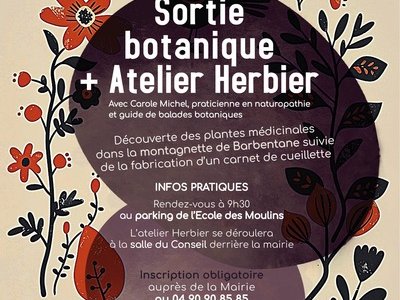 Sortie botanique + Atelier Herbier