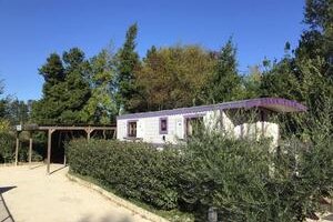 Des Roulottes en Provence