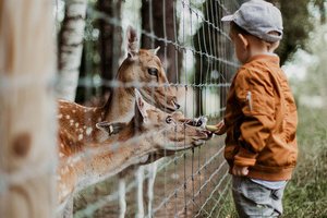 Parc Animalier - L'Arche de Méo