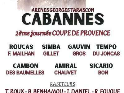 Course camarguaise