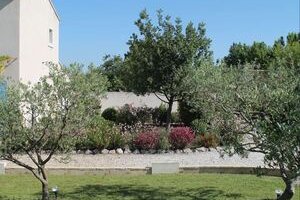 Maison des chênes blancs