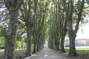 Parc du château