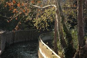 Chemin Entre Deux Eaux