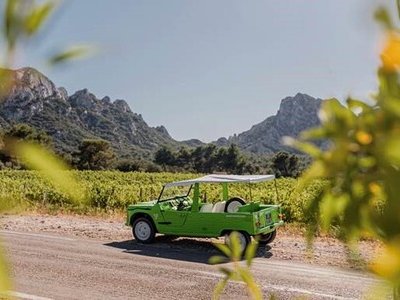 Yes Provence - The Vintage Roads