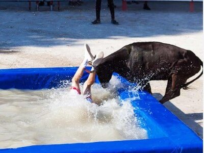 Toro-Piscine