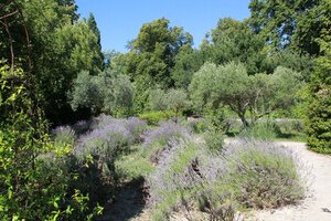 Jardin des simples