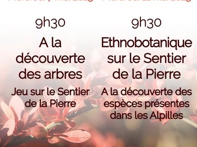 Les merdredis au Musée