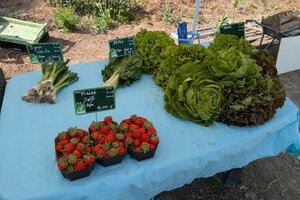 Le Potager Nature