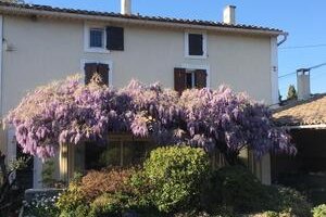 Mas de l'Avani