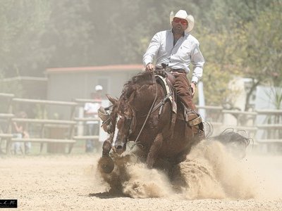 JC Ranch
