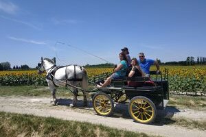 Les Calèches de Mado