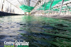 La Ferme des Parpaiouns - Couleur Spiruline