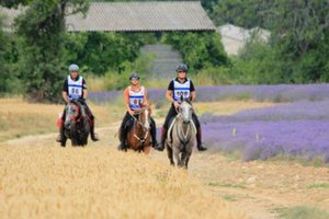 Les Ecuries de Cadillan