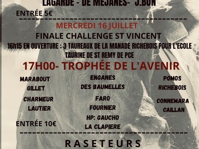 Course camarguaise