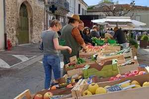 Marché Maillane