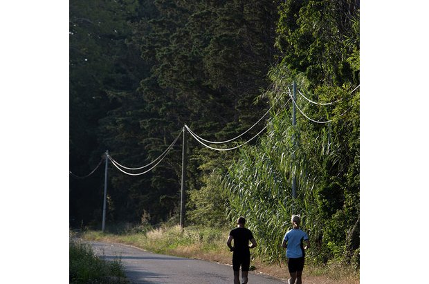 Campagne à Cabannes