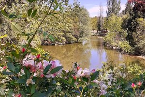 Parc Animalier - L'Arche de Méo