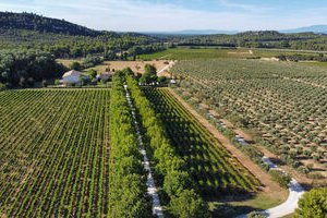 Domaine de Valdition - La boutique