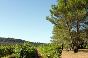 Domaine du Val de L'Oule