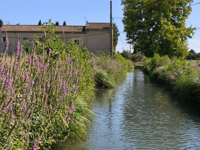 La balade des Roubines