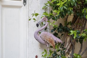 Instant en Provence La Gardian