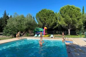 Les Micocouliers