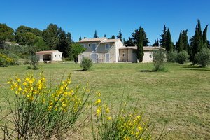 La Coccinelle d'Emilie