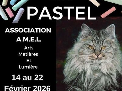 Exposition Salon du Pastel