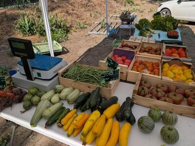 Le Potager Nature