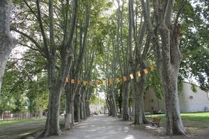 Parc du château