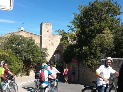 Au coeur de la Montagnette