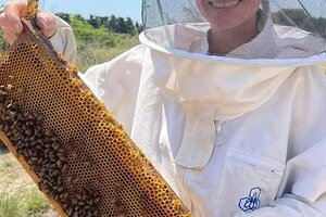 Un Mâtin aux abeilles