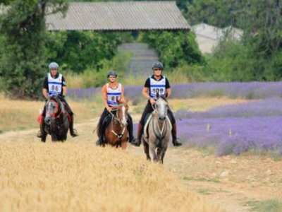 Les Ecuries de Cadillan