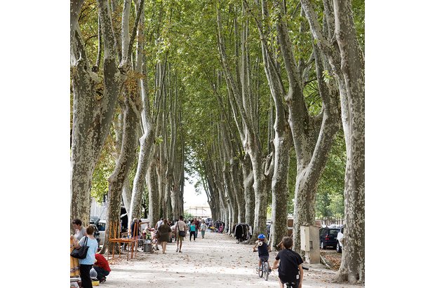 Parc du château de Saint-Andiol