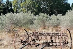 Luberon - Mas Canillac