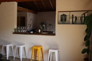 Les Micocouliers