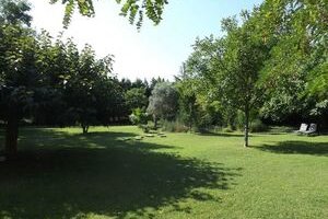 Domaine de l'Orgalière - Gîte Cocoon