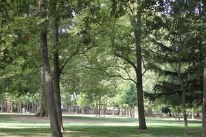 Parc du château