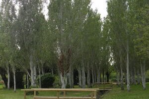 Pumptrack et parcours de santé