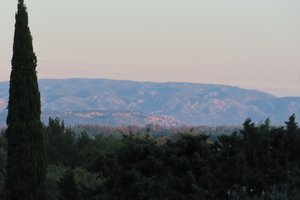 L'Oliveraie