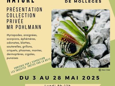 Exposition "La Découverte de la Nature" et "Les Insectes"