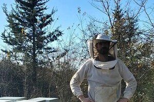 Un Mâtin aux abeilles
