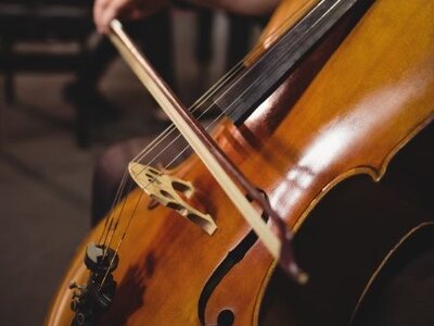 Concerts "Les Estivales du mois d'Août"
