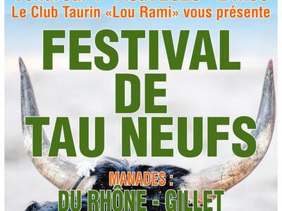 Festival de Tau Neufs
