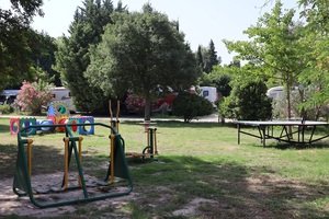 Les Micocouliers